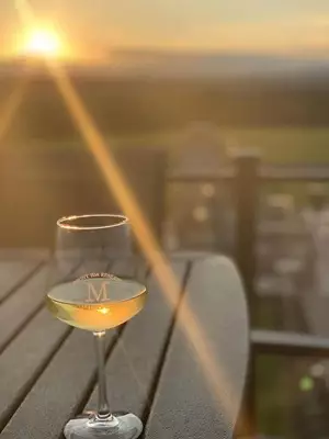 picture of a glass of white wine