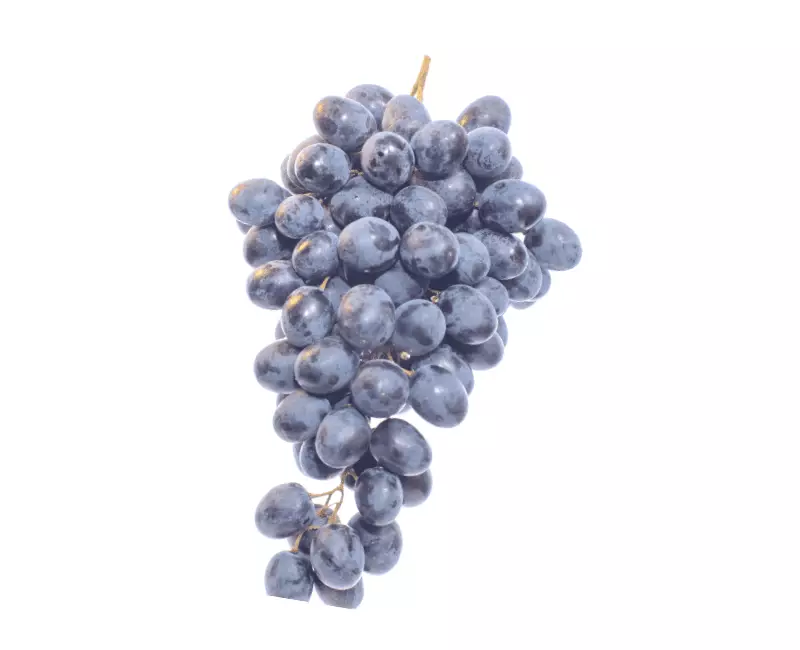 cluster of wine grapes