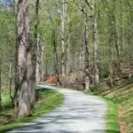 The Monticello Trail