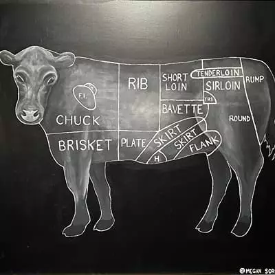 A diagram of a beef cow