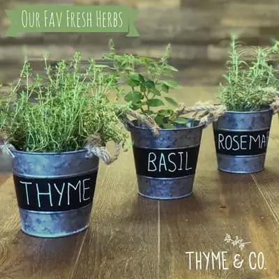 From herbs from Thyme & Co.